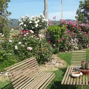 Il Vecchioliveto Di Ornella Bed and breakfast Marrùbiu